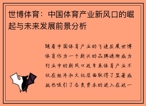 世博体育：中国体育产业新风口的崛起与未来发展前景分析