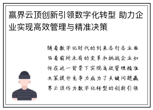 赢界云顶创新引领数字化转型 助力企业实现高效管理与精准决策